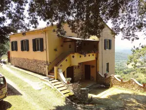 Antico Leccio Orange
