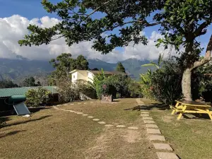 Lime Tree Farm, Blue Mountains
