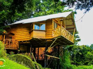 Los Naranjos Town Houses