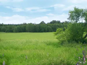 Edsvalla
