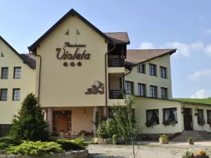 Pensiunea Violeta