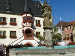 Hotel Schwarzes Ross