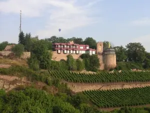 Apartment Alexander Bad Kreuznach