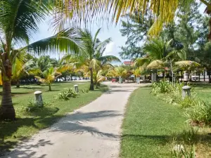 Sea Eye Hotel - Tropical Building