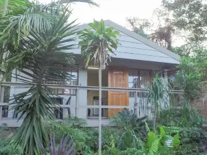 Suzy's Place