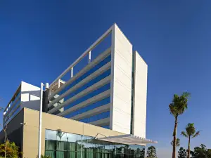 安罕股耶拉皇家棕櫚大樓飯店