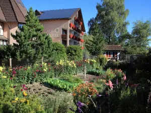 ALBHOTEL BAUDER