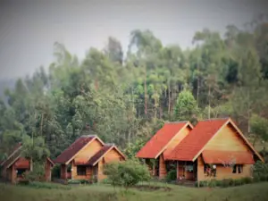 Kebun Mawar Situhapa