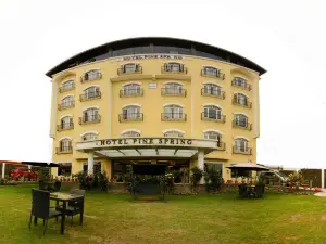 Hotel Pine Spring Srinagar