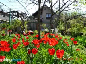 Milorava's Guest House & Wine Cellar