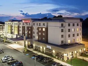 Hilton Garden Inn Rochester/University and Medical Center