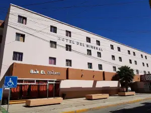 Hotel Del Mineral S.A.