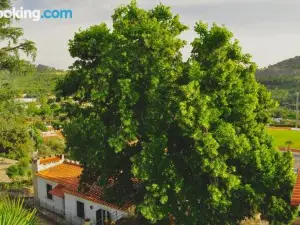 Vila Maria