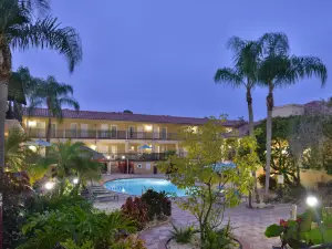 Holiday Inn & Suites Tampa N - Busch Gardens Area