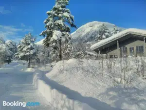 Jølsterlia Hyttetun