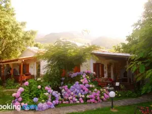 Alekas Studios