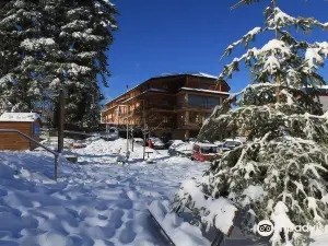 Hotel Centrale