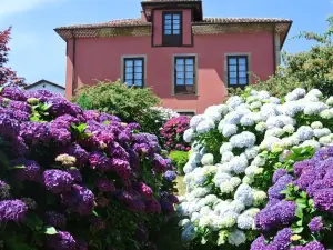 Hotel Rural El Algaire