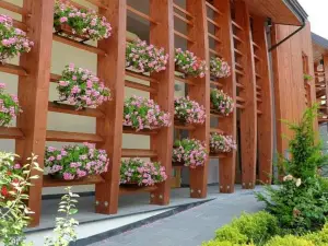 Hotel Natura