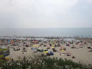 De Zilvermeeuw
