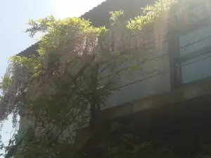 Quinta do Eco