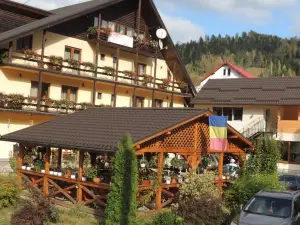 Pension Steaua Ariesului