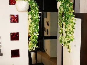 Ditton Apartment City Center