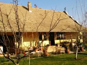 Brkin salaš