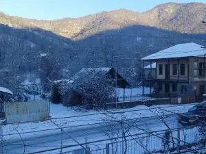 Guesthouse Vashlovani