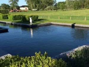 Bed and Breakfast Art