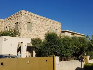 The House of Taly & Erez