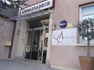 Les Nouveaux Ambassadeurs