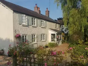 The Willows