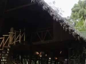 Casa Amazonas
