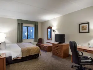 Comfort Inn & Suites - LaVale - Cumberland