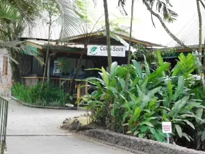 熱帶雨林生態小屋酒店