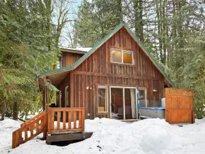Cedar Sky Cabin - Three Bedroom Cabin with Hot Tub