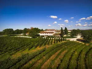 Meneghetti Wine Hotel and Winery - Relais & Chateaux