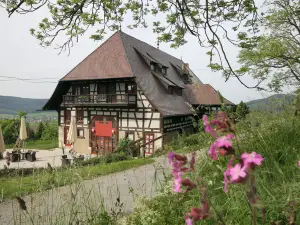 Hotel Hofgut Hohenkarpfen