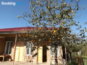 Tiny Houses Genacvale in Bandza