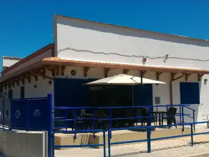 คอคซิเนลลา