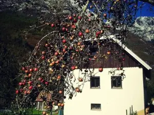 Apartmaji Katrč