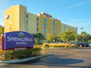 SpringHill Suites Tampa North/I-75 Tampa Palms