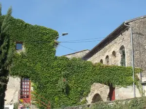 Le Moulin d'Onclaire Camping et Chambres d'hôtes