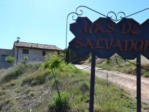Mas de Salvador