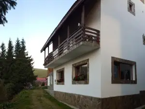 Pensiunea Montana Muntele Mic
