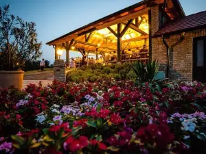 BÉNI Family Wine Farm