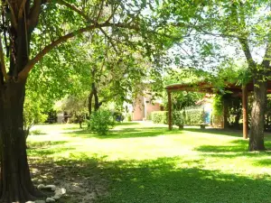 Los Olivos Loft