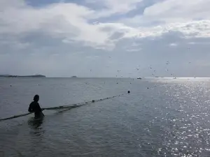 Batti Relax Point