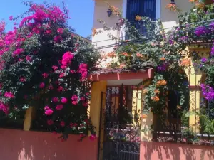 Posada Bugambilias